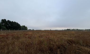 Parcela en venta km 11 Camino a Coihueco – 5.300 m² - psje Las Acacias - frente paso alejo