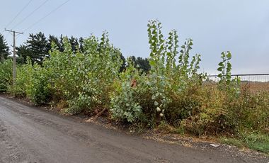 Parcela en venta km 11 Camino a Coihueco – 5.300 m² - psje Las Acacias - frente paso alejo