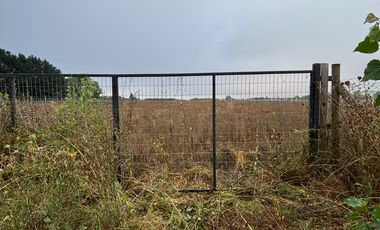 Parcela en venta km 11 Camino a Coihueco – 5.300 m² - psje Las Acacias - frente paso alejo