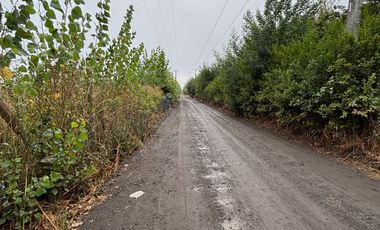 Parcela en venta km 11 Camino a Coihueco – 5.300 m² - psje Las Acacias - frente paso alejo