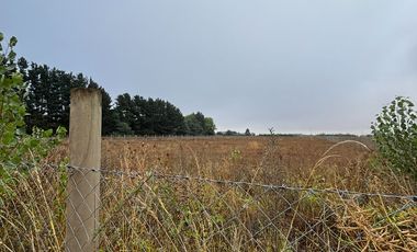 Parcela en venta km 11 Camino a Coihueco – 5.300 m² - psje Las Acacias - frente paso alejo