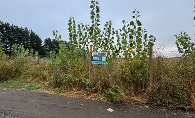 Parcela en venta km 11 Camino a Coihueco – 5.300 m² - psje Las Acacias - frente paso alejo