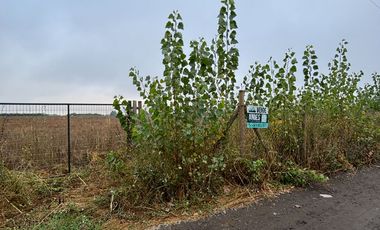 Parcela en venta km 11 Camino a Coihueco – 5.300 m² - psje Las Acacias - frente paso alejo