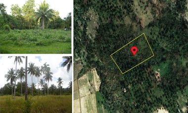 5,290 m2 / 1.3 Acres | Agri-Residential Estate Near Beach