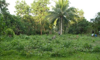 5,290 m2 / 1.3 Acres | Agri-Residential Estate Near Beach