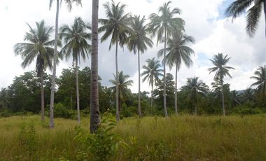 5,290 m2 / 1.3 Acres | Agri-Residential Estate Near Beach