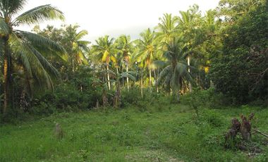 5,290 m2 / 1.3 Acres | Agri-Residential Estate Near Beach