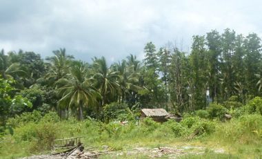 5,290 m2 / 1.3 Acres | Agri-Residential Estate Near Beach