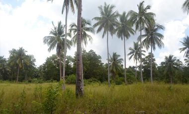 5,290 m2 / 1.3 Acres | Agri-Residential Estate Near Beach