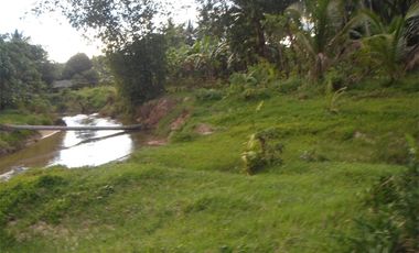 5,290 m2 / 1.3 Acres | Agri-Residential Estate Near Beach