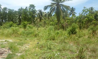 5,290 m2 / 1.3 Acres | Agri-Residential Estate Near Beach