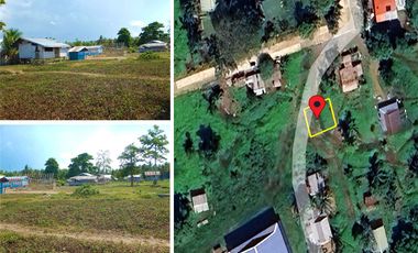 120 m2 / 1,2912ft | Residential Estate in Charming Suburb