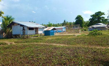 120 m2 / 1,2912ft | Residential Estate in Charming Suburb