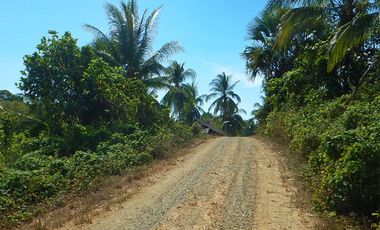 120 m2 / 1,2912ft | Residential Estate in Charming Suburb