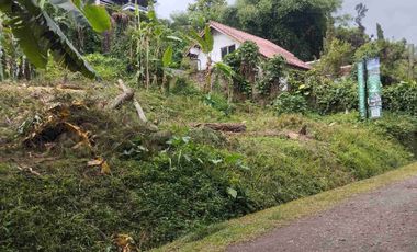 Hunian di kawasan dago bandung dengan harga murah mulai dari 2 M bisa cash dan dicicil langsung pemilik