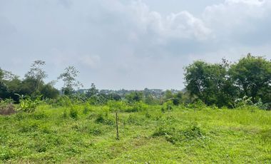 Potensial Bisnis Kost, Kavling Dekat IPB Dramaga Promo FREE Balik Nama