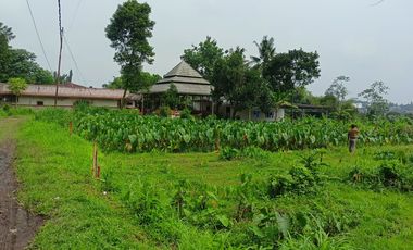 Potensial Bisnis Kost, Kavling Dekat IPB Dramaga Promo FREE Balik Nama