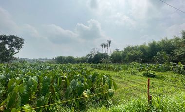 Diskon 20 Juta, Kavling Dekat IPB Dramaga