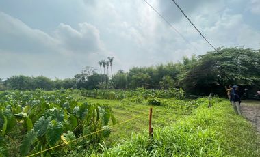 Kavling Dekat Terminal Bubulak Promo Imlek Angpao 20 Jt