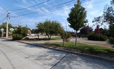 LIQUIDAMOS CASA NELSON STOCK OCARANZA O. 84 BUIN