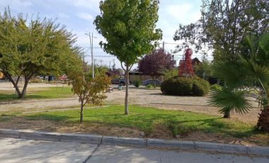 LIQUIDAMOS CASA NELSON STOCK OCARANZA O. 84 BUIN