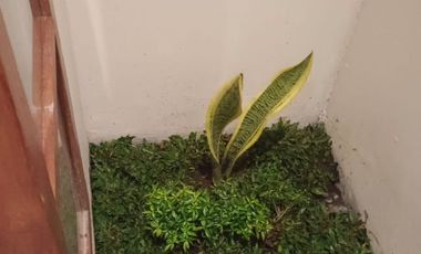 Peluang Investasi Villa Sudah Jadi di Tengah Kota Jogja dengan Potensi Sewa Menjanjikan