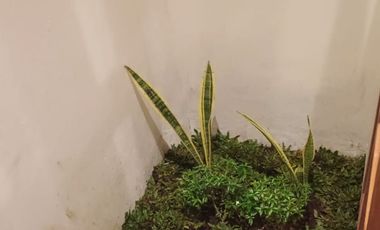 Peluang Investasi Villa Sudah Jadi di Tengah Kota Jogja dengan Potensi Sewa Menjanjikan