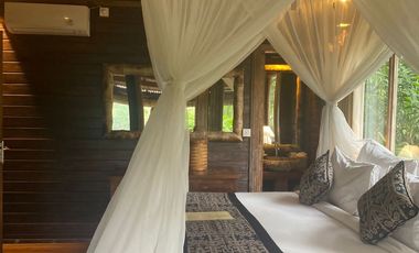 DIJUAL VILLA WITH RICEFIELD AND JUNGLE VIEW