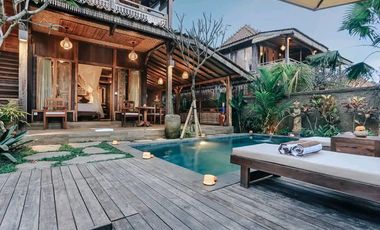 DIJUAL VILLA WITH RICEFIELD AND JUNGLE VIEW