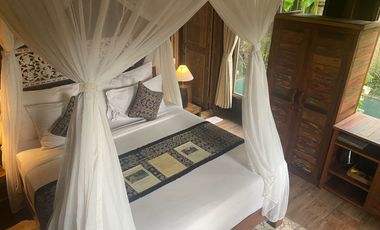 DIJUAL VILLA WITH RICEFIELD AND JUNGLE VIEW