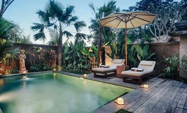 DIJUAL VILLA WITH RICEFIELD AND JUNGLE VIEW