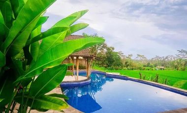 DIJUAL VILLA & RESORT WITH RICE FIELD VIEW UBUD