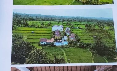 DIJUAL VILLA & RESORT WITH RICE FIELD VIEW UBUD