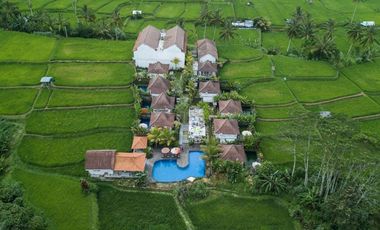 DIJUAL VILLA & RESORT WITH RICE FIELD VIEW UBUD