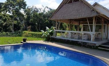 DIJUAL VILLA & RESORT WITH RICE FIELD VIEW UBUD
