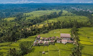 DIJUAL VILLA & RESORT WITH RICE FIELD VIEW UBUD
