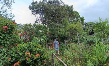 Vivir en Lamas: Un lugar para quien busca autenticidad y una vida sin las complicaciones de las grandes ciudades.
