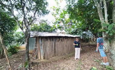 Vivir en Lamas: Un lugar para quien busca autenticidad y una vida sin las complicaciones de las grandes ciudades.