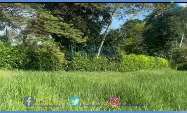 ¡¡SUPER GANGA VENDO LOTE UBICADO DENTRO DE CONDOMINIO CERRADO MUY EXCLUSIVO!!SECTOR AV PTO LOPEZ