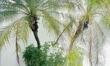 Westparc Alder condominium for Sale or rent