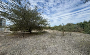 En Venta Amplio Terreno Ubicado Cerca a La Universidad de Piura y Parque Laguna del Chipe - Piura