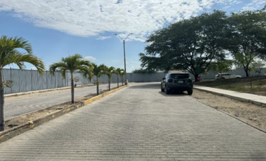 En Venta Amplio Terreno Ubicado Cerca a La Universidad de Piura y Parque Laguna del Chipe - Piura