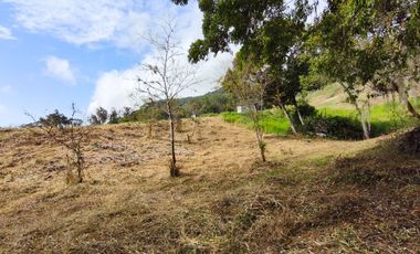 🏡 Venta de Lotes en Condominio – Moniquirá, Boyacá