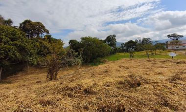 🏡 Venta de Lotes en Condominio – Moniquirá, Boyacá