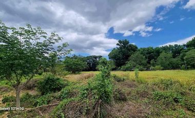 Residential Lot for Sale at Tiaong Quezon