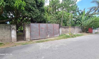 Residential Lot for Sale at Tiaong Quezon