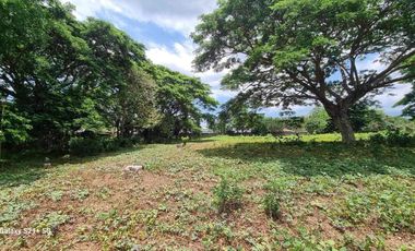 Residential Lot for Sale at Tiaong Quezon