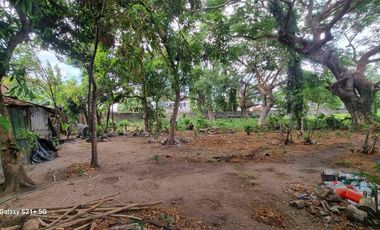 Residential Lot for Sale at Tiaong Quezon