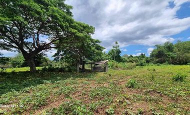 Residential Lot for Sale at Tiaong Quezon