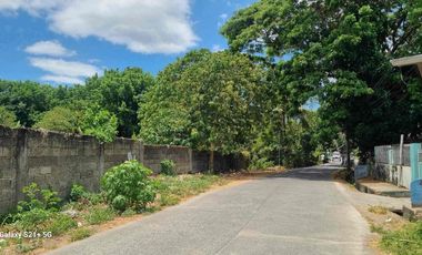 Residential Lot for Sale at Tiaong Quezon